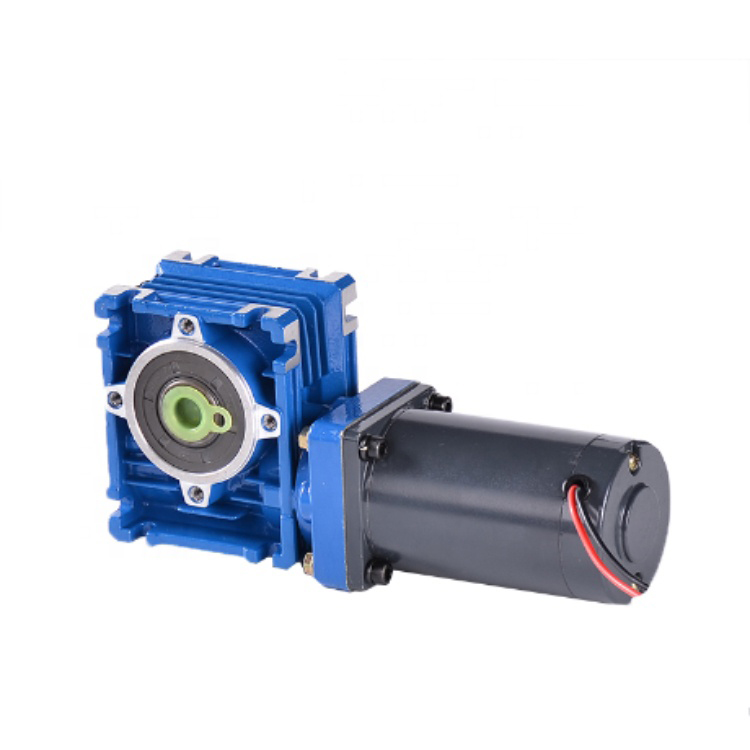 Brushed DC Worm Gear Motor